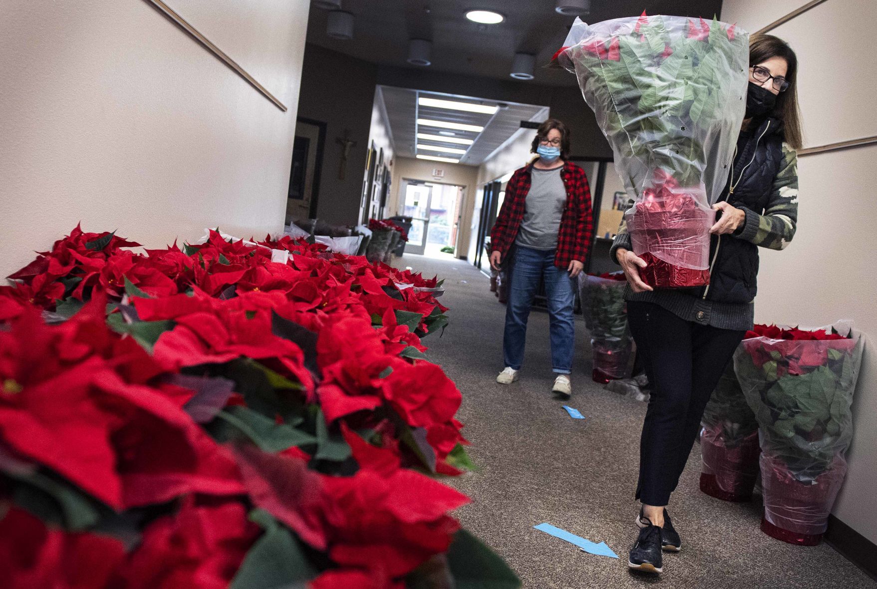 Deck the hall with poinsettias